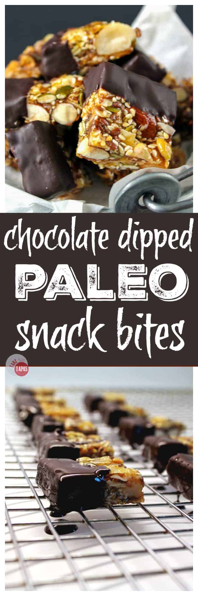 dark chocolate dipped paleo snack bites for a dessert snack