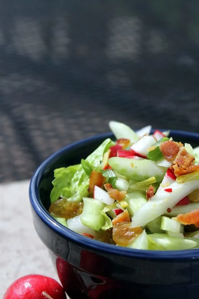 Crispy Celery Slaw for summer BBQ | Take Two Tapas | #Celery #Slaw #Summer #SideDish #BBQ