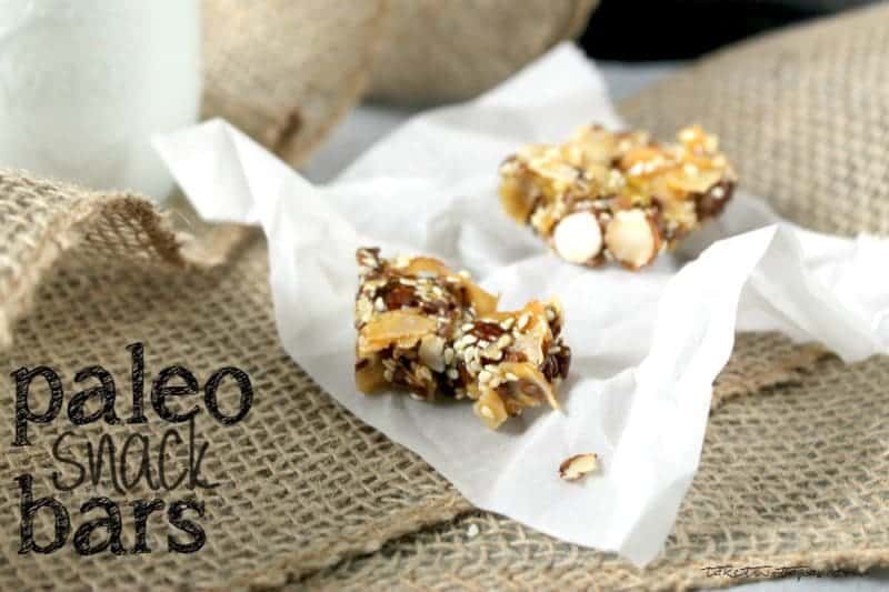 Paleo Snack Bars and How to Make Them at Home