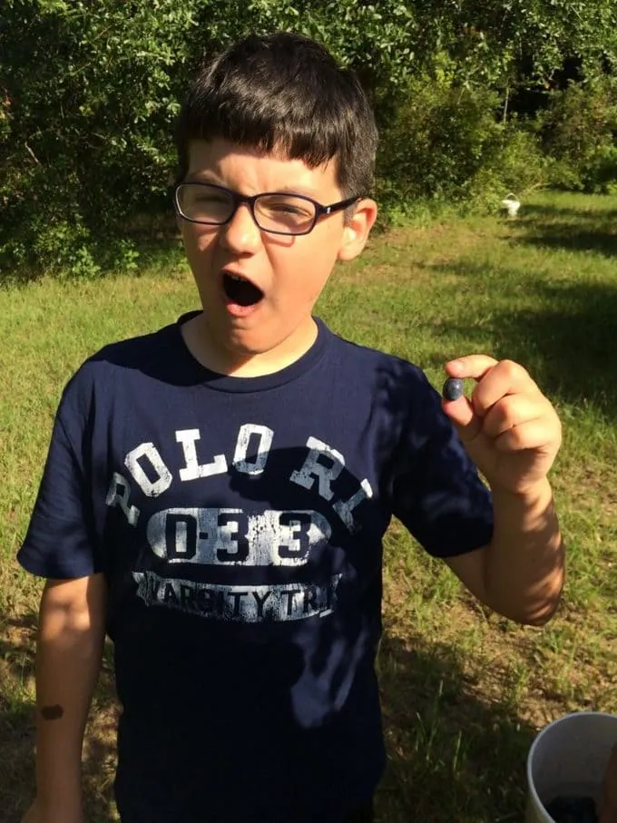 Braxton showing a large blueberry