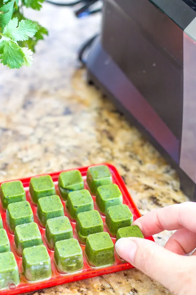 Pineapple Ginger Prosecco Punch Recipe made easy with these cilantro cubes | Take Two Tapas | #Pineapple #Ginger #Prosecco #punch #Brunch #largebatch #Entertaining #easydrinks