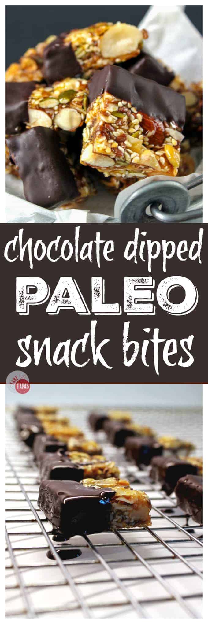 Pinterest collage image with text "Chocolate Dipped Paleo Snack Bites"