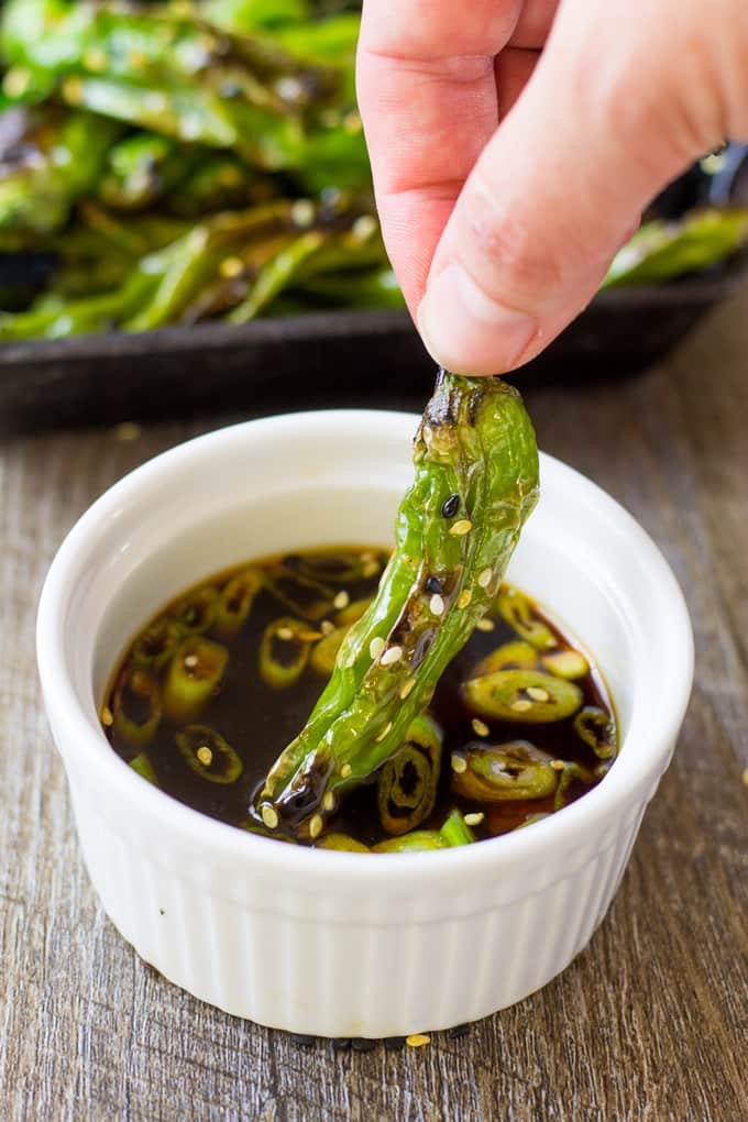 Hand dipping these pan blistered shishito peppers in a simple ginger ponzu sauce that is in a white bowl.