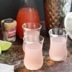 Paloma Pink Grapefruit Shots