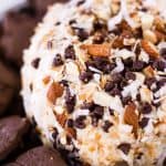 Candy Bar Almond Joy Cheese Ball | Take Two Tapas | #AlmondJoy #CheeseBall #SweetCheeseBall #CheeseBallRecipes #BestCheeseBalls #AlmondJoyRecipes