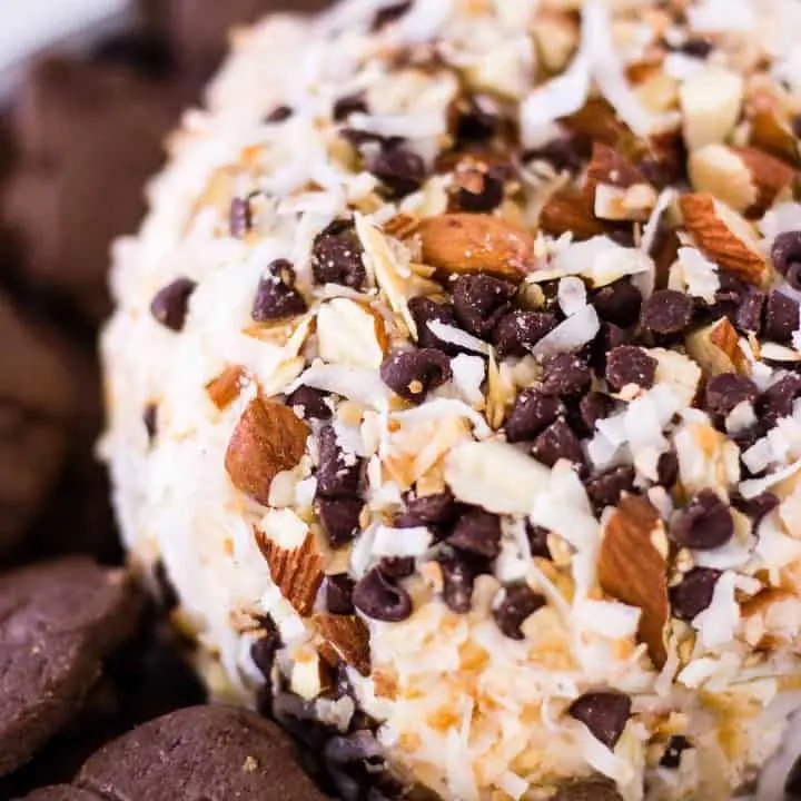 close up of Candy Bar Almond Joy Cheese Ball