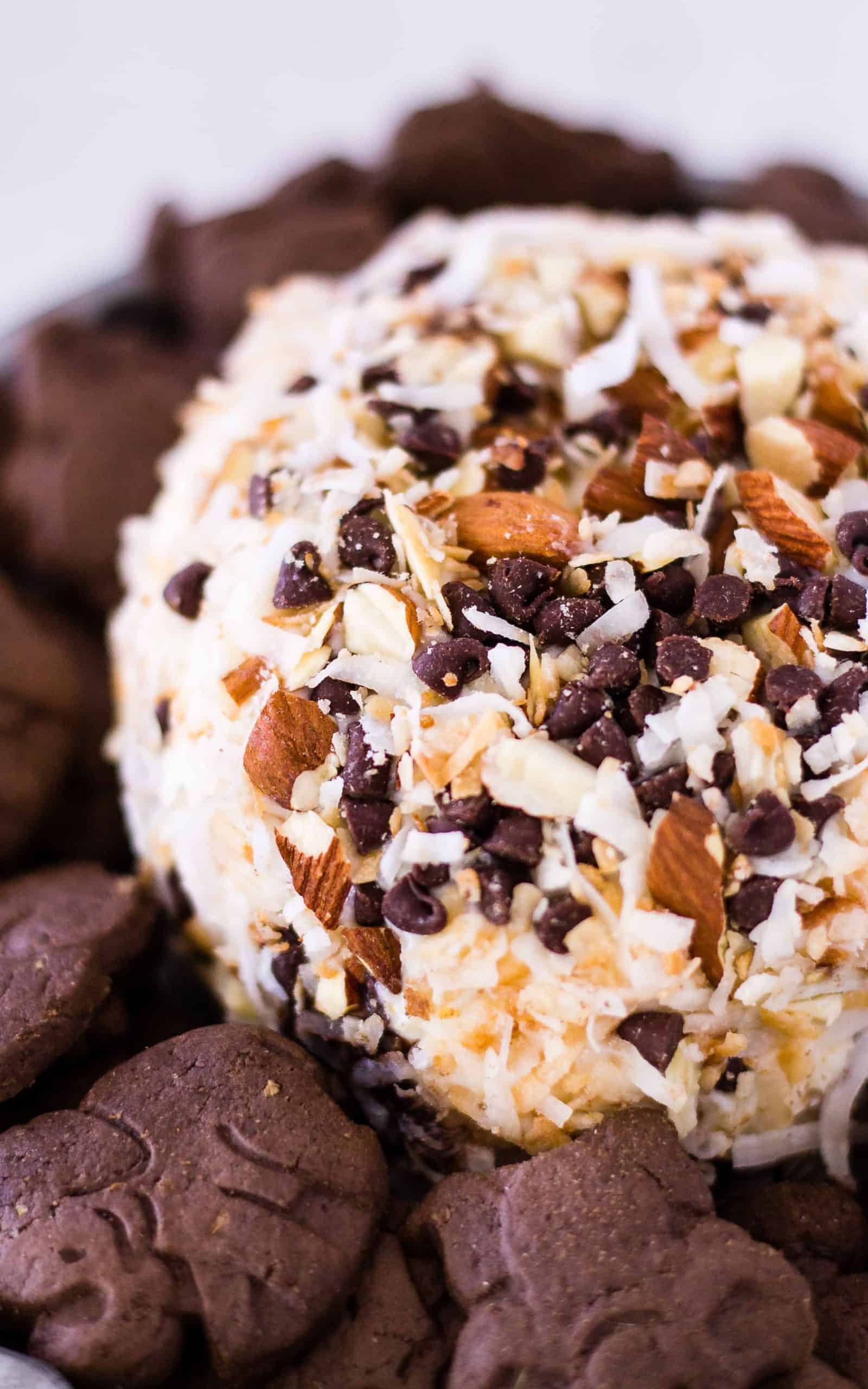 close up of Candy Bar Almond Joy Cheese Ball