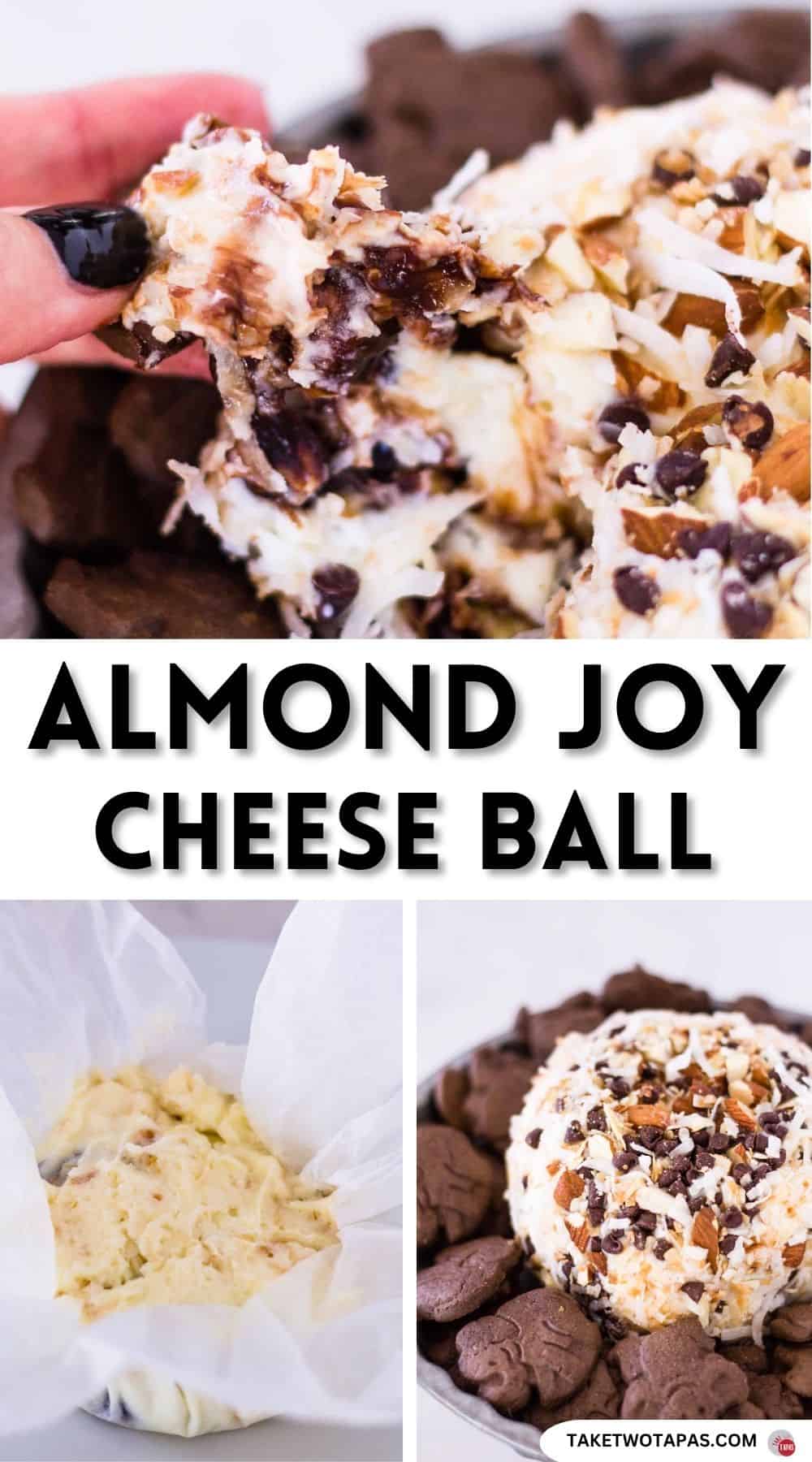Pinterest pin image for almond joy cheese ball