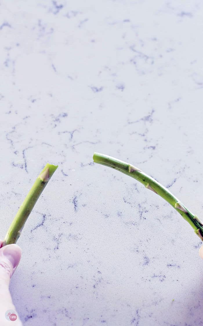 snapping an asparagus spear the correct way