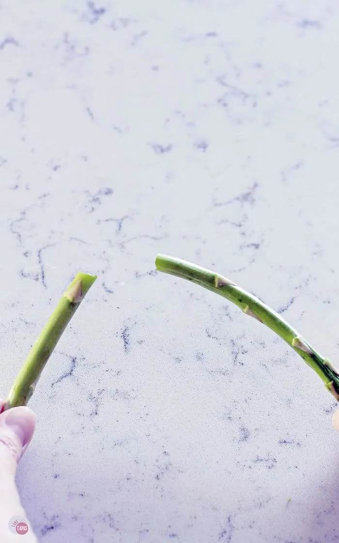 snapping an asparagus spear the correct way