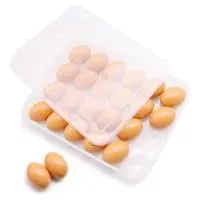 HansGo Egg Holder for Refrigerator