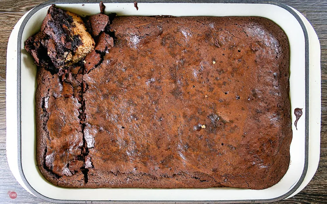 overhead view of pan of baked peanut butter oreo brownies