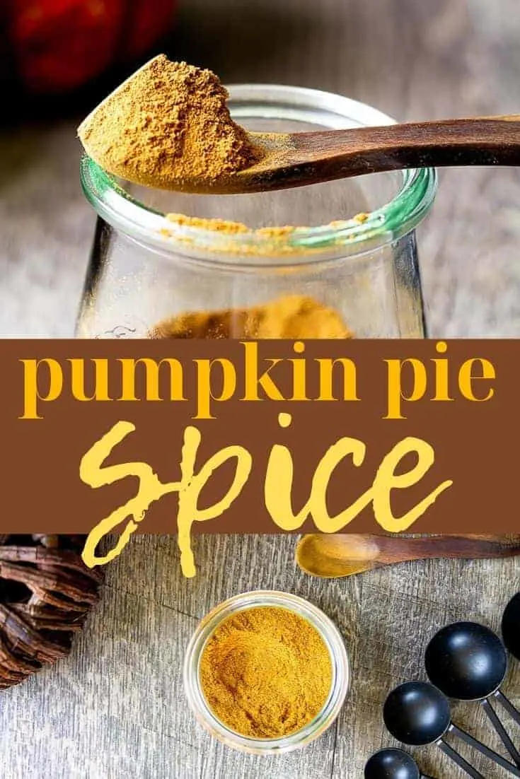 Pinterest Pin text "pumpkin pie spice"