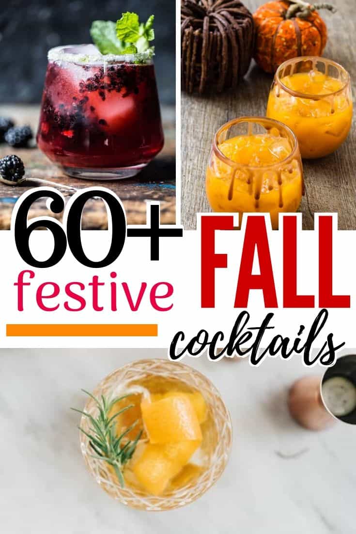 collage of fall cocktails