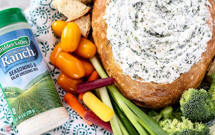 overhead picture of ranch Seasoning Shaker and dip