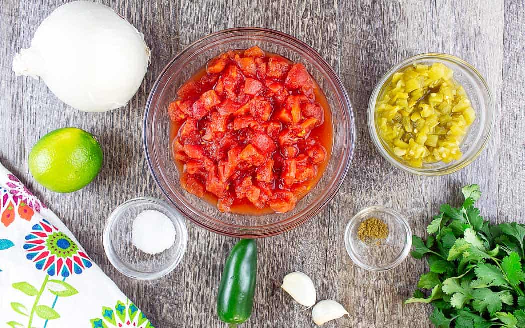 ingredients for salsa