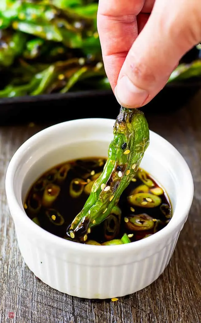 hand dipping a roasted shishito pepper garnished with sesame seeds in a white bowl of ponzu dipping sauce