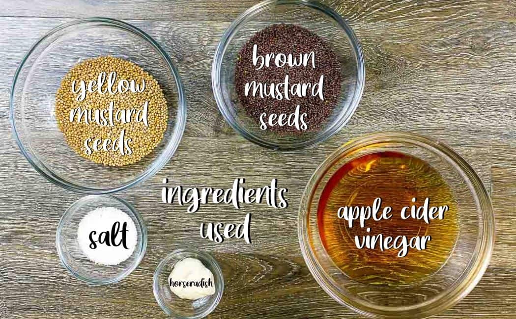 ingredients for whole grain mustard