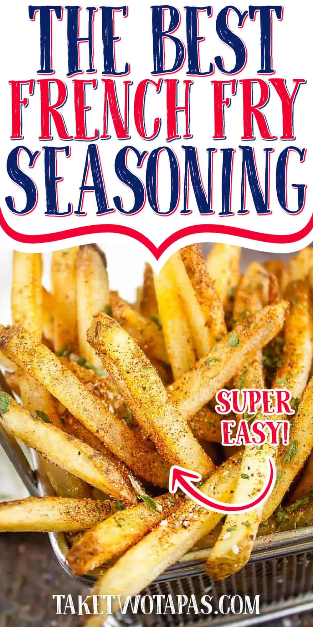 Pinterest image of fry seasoning on french fries with text "amazing fry seasoning - the best!"