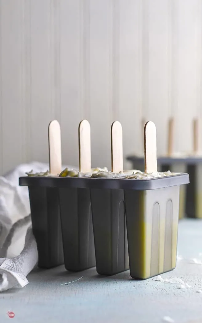 grey popsicle molds filled with sticks sticking out