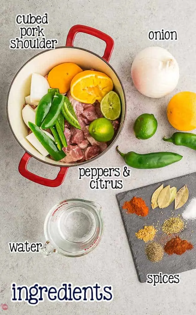 labeled picture of pork carnitas ingredients