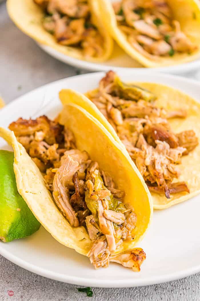 pork carnitas in tortillas on white plate
