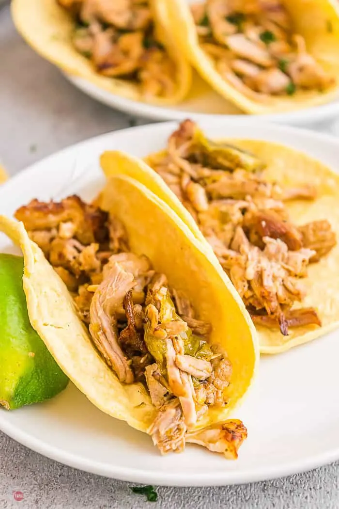 pork carnitas in tortillas on white plate