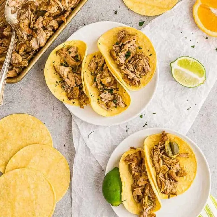 square picture of carnitas for recipe card