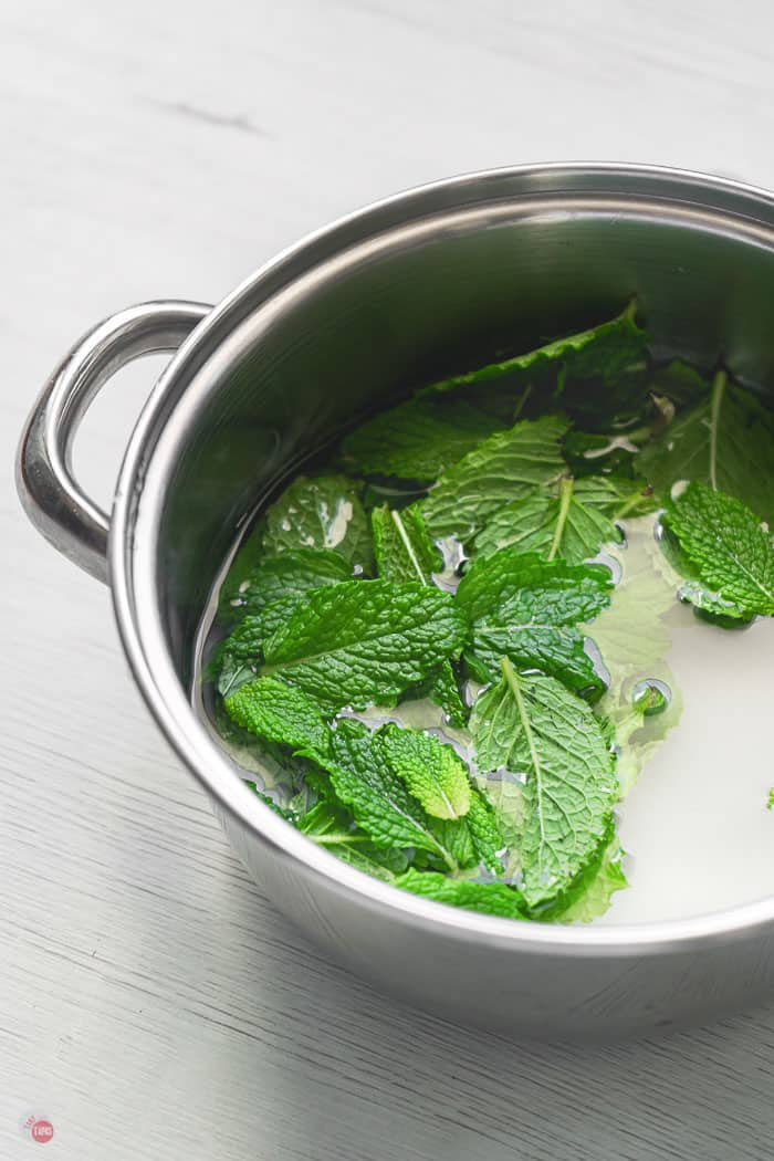 mint floating in a pot