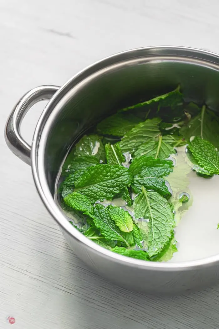 mint floating in a pot