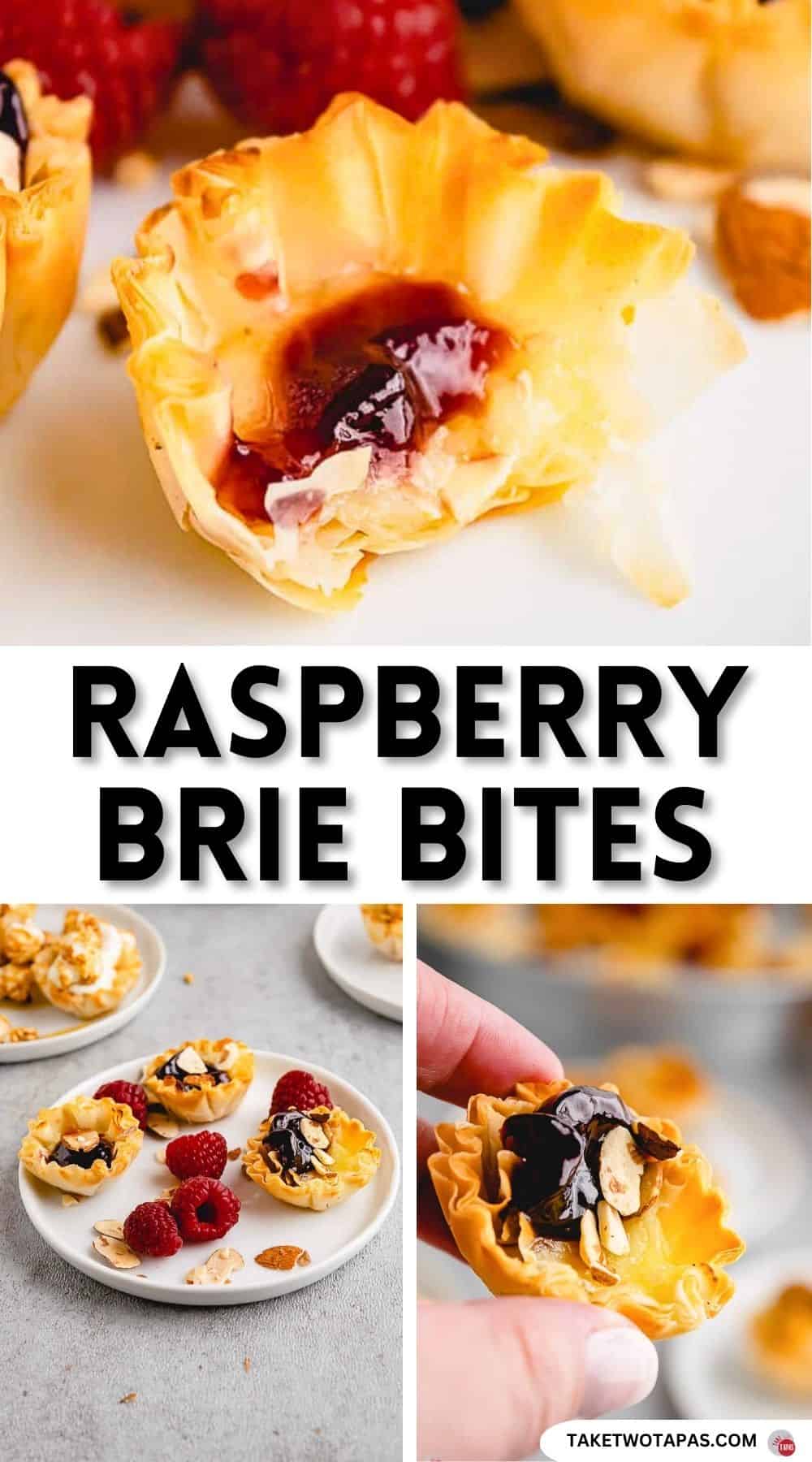 Pinterest pin image for raspberry brie phyllo cup bites recipe