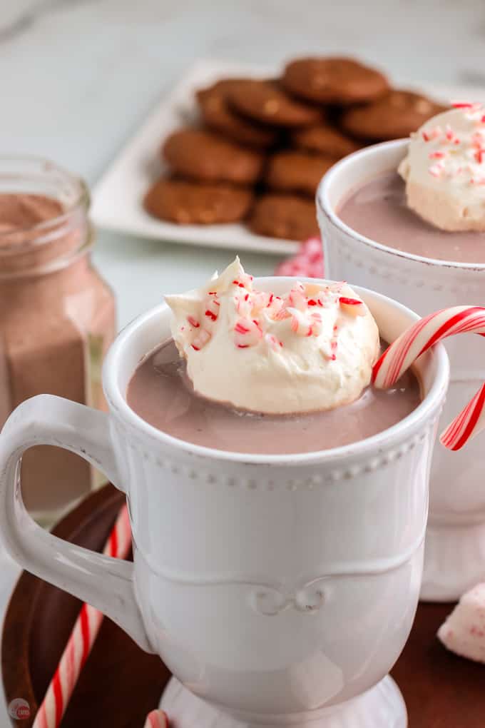 mug of hot cocoa with candy cane