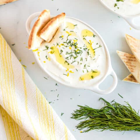 Homemade Tzatziki Sauce Recipe - Take Two Tapas