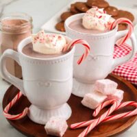 two mugs of peppermint hot cocoa