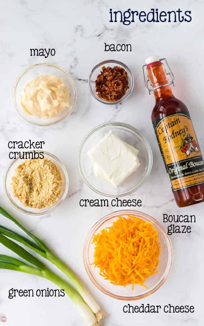 labeled picture of captain rodneys dip ingredients