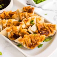 plate of gyoza