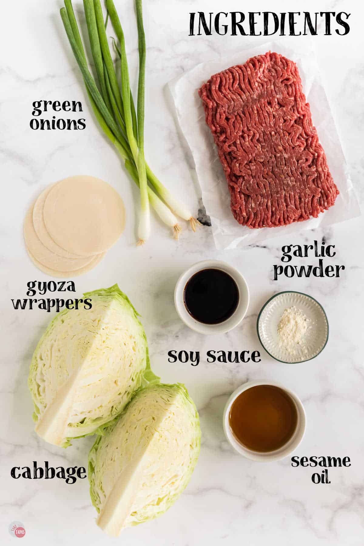 labeled picture of gyoza ingredients