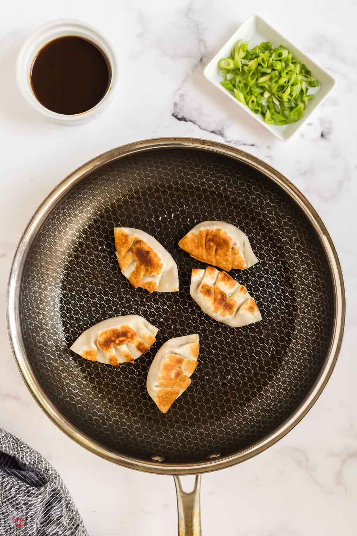 pan fried dumplings in a pan