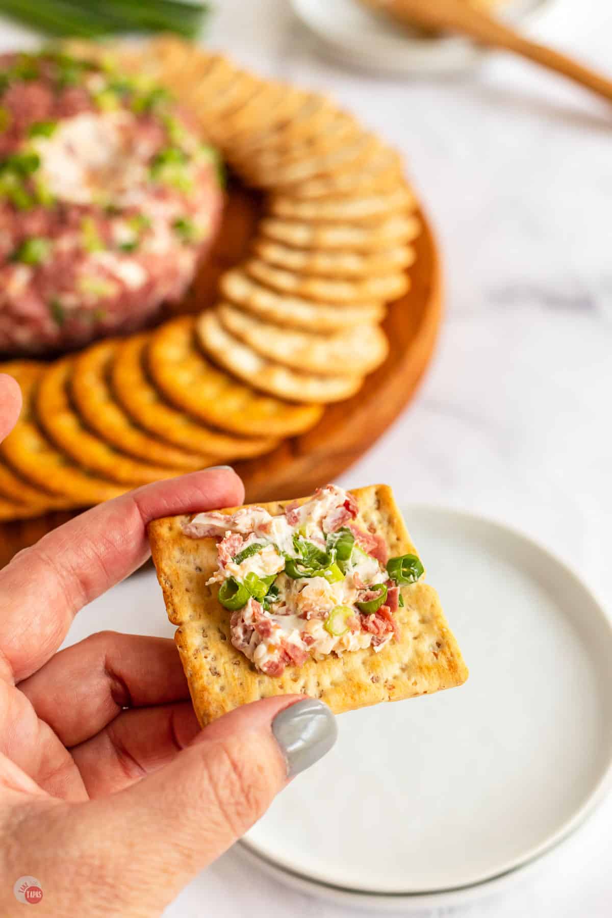 hand holding cracker with spread on it