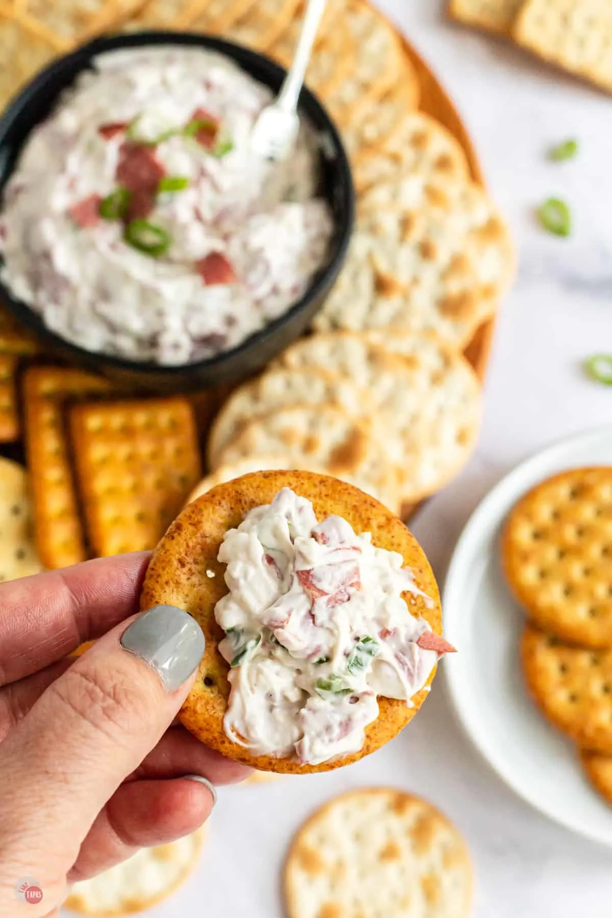 hand holding cracker with dip on it