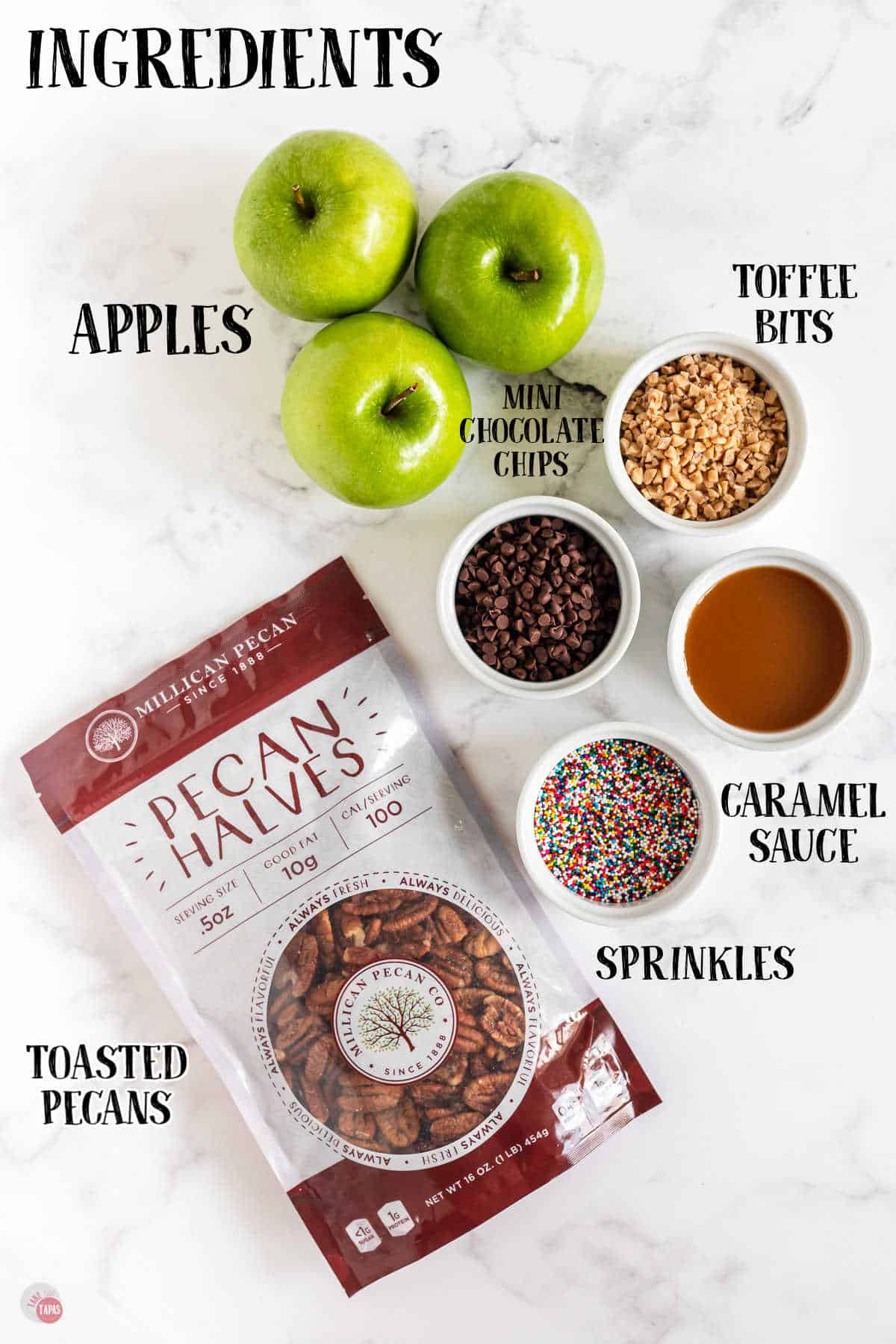 labeled picture of apple nacho ingredients