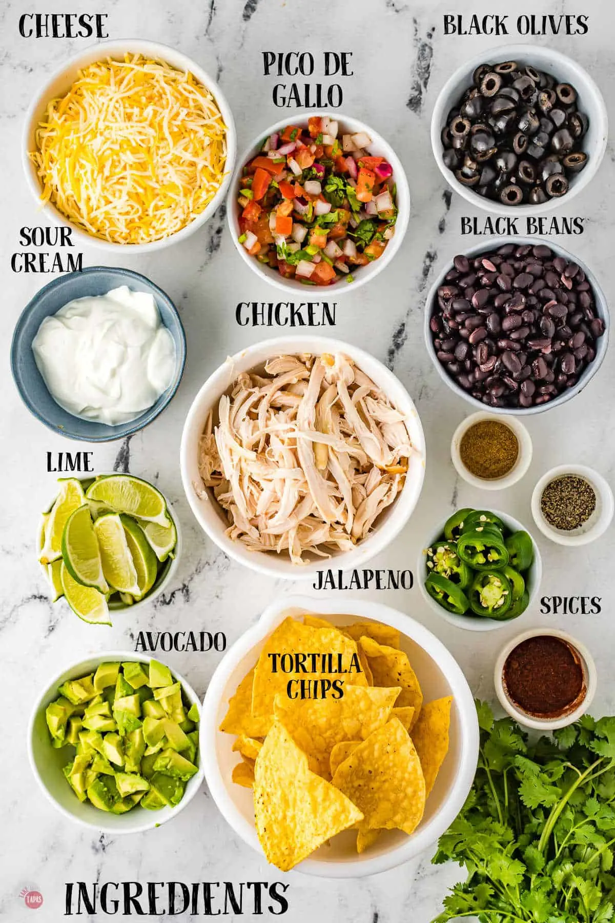 labeled picture of chicken nachos