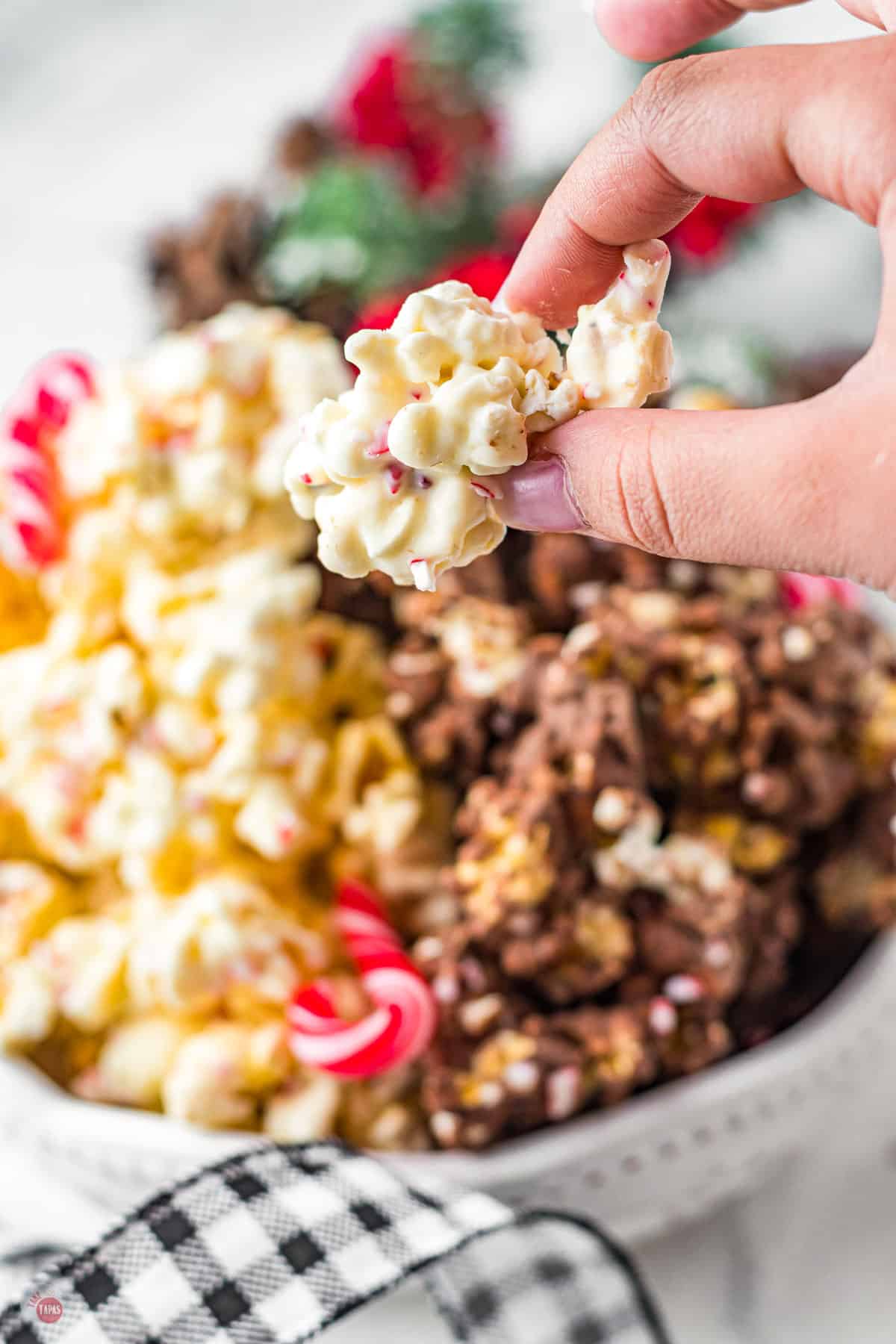 hand holding piece of popcorn