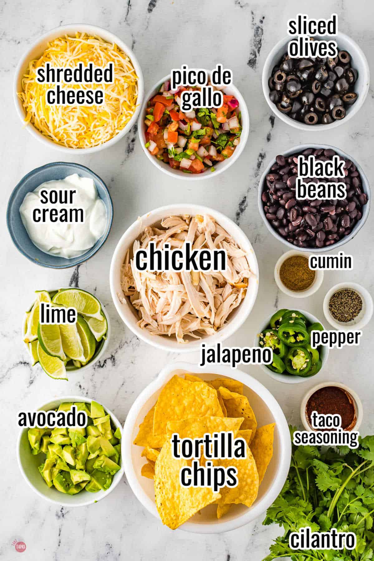 ingredients for nachos in individual bowls with text overlay labeling them