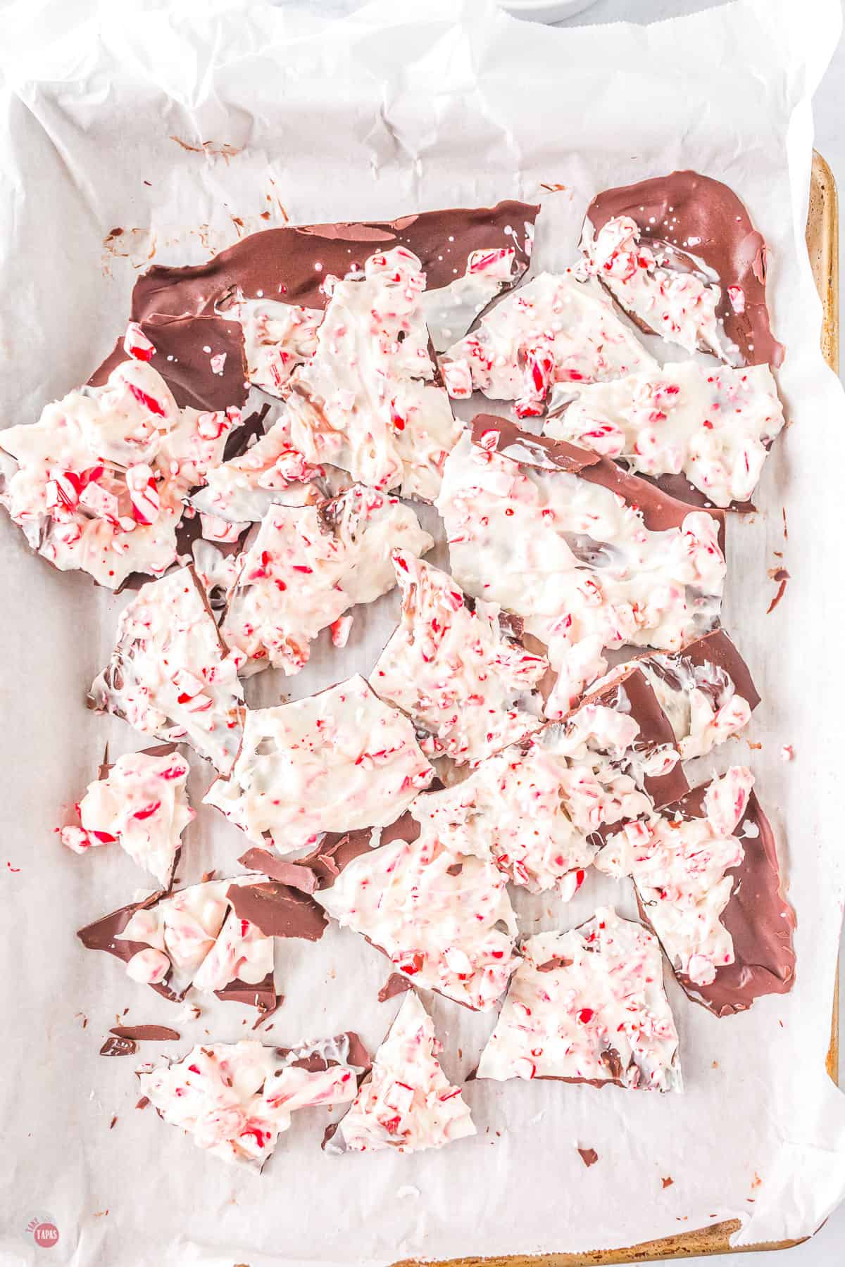 peppermint bark broken into pieces