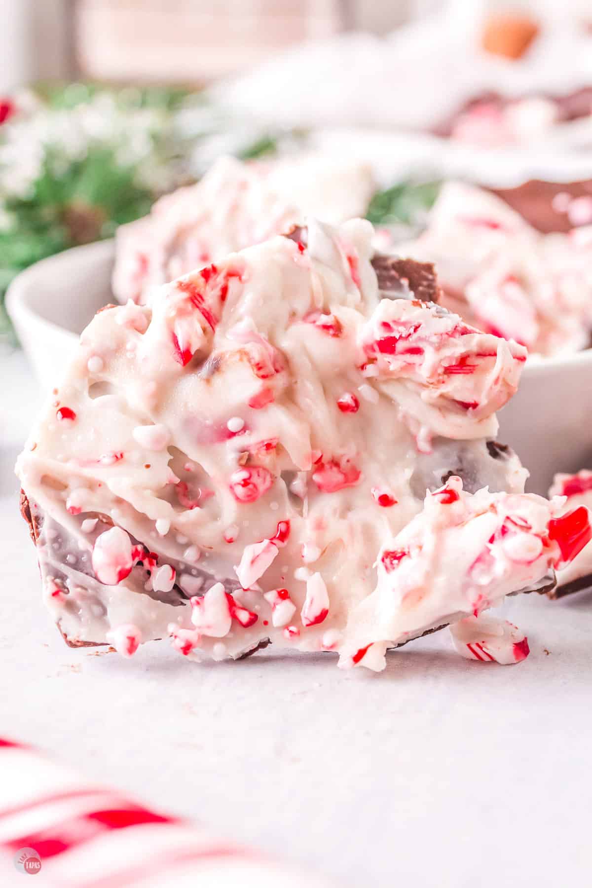 piece of peppermint bark