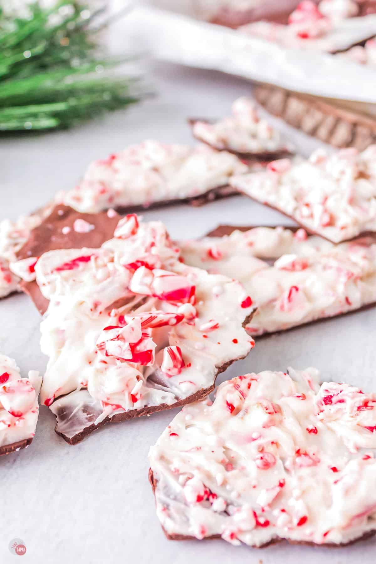 pieces of candy cane bark
