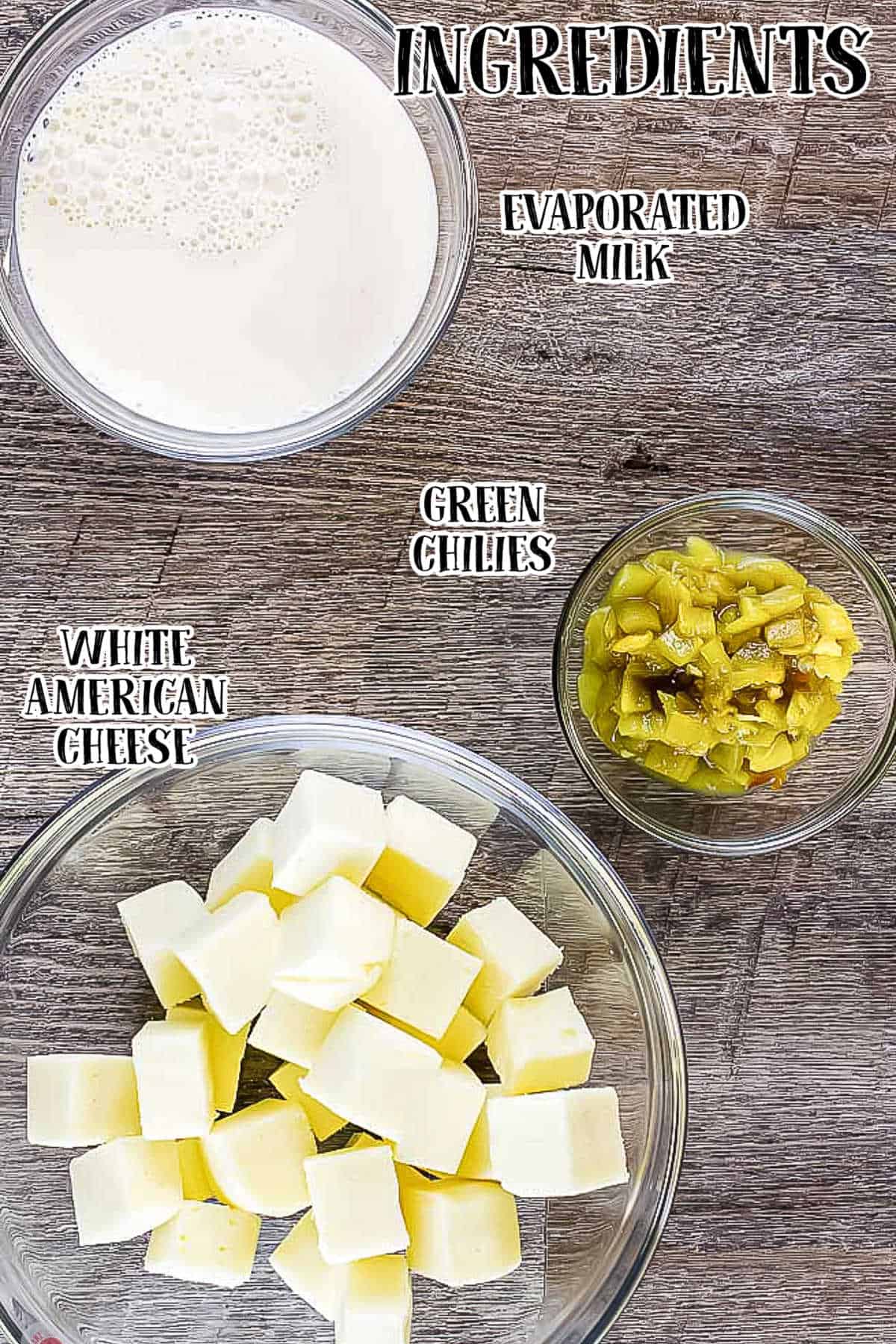 labeled picture of queso ingredients