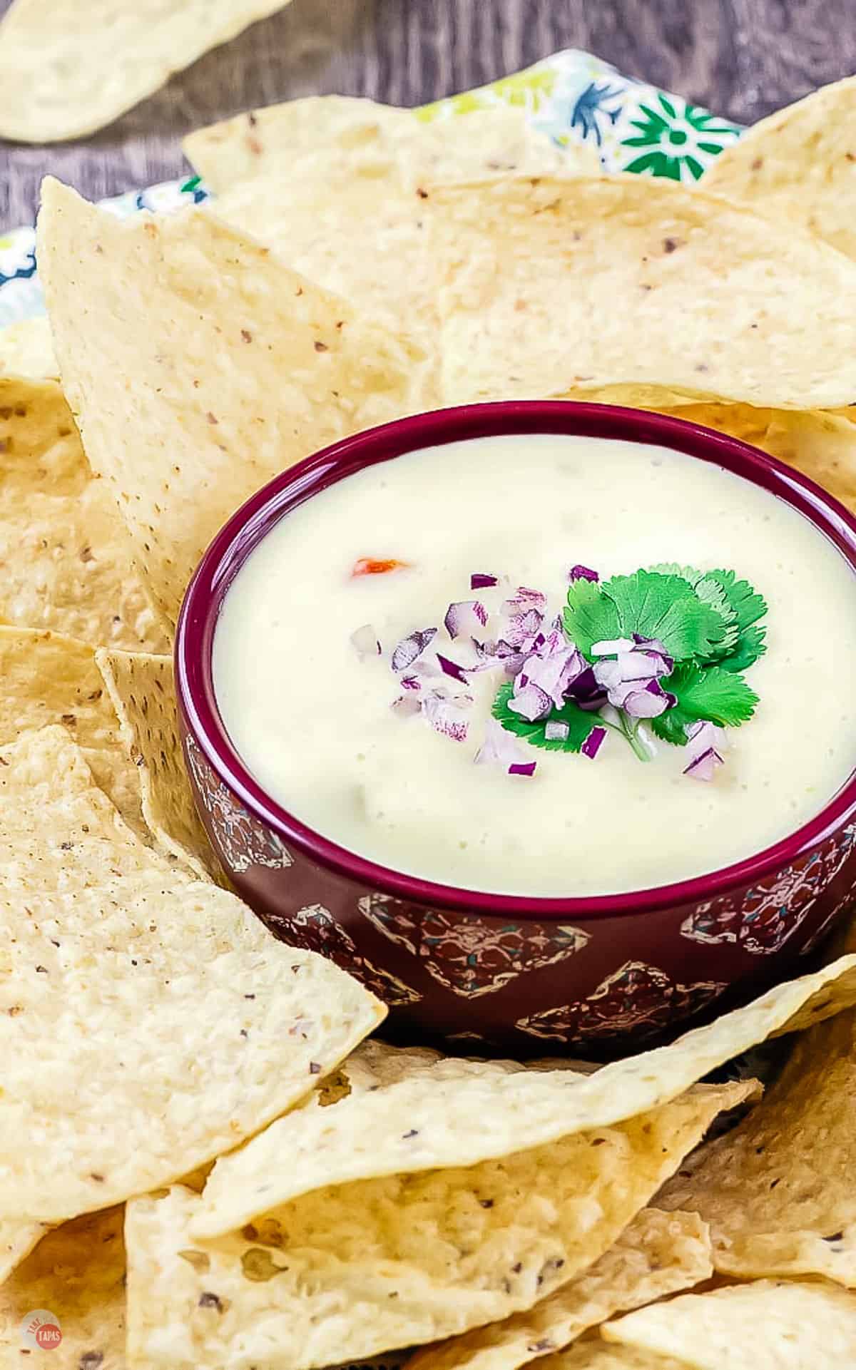 white queso dip in a red bowl topped with onions and cilantro surrounded by chips