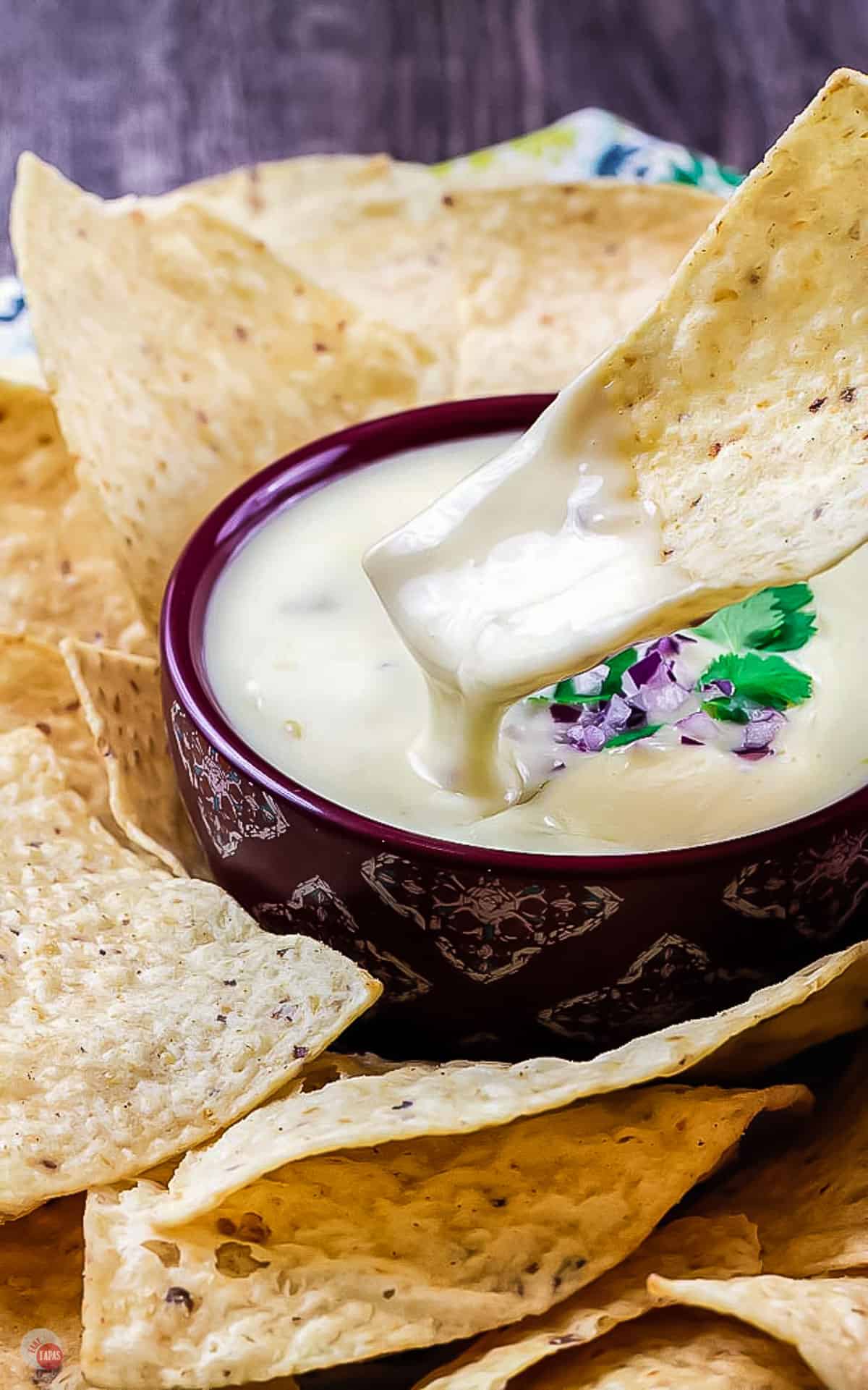 queso dip in a purple bowl surrounded by chips